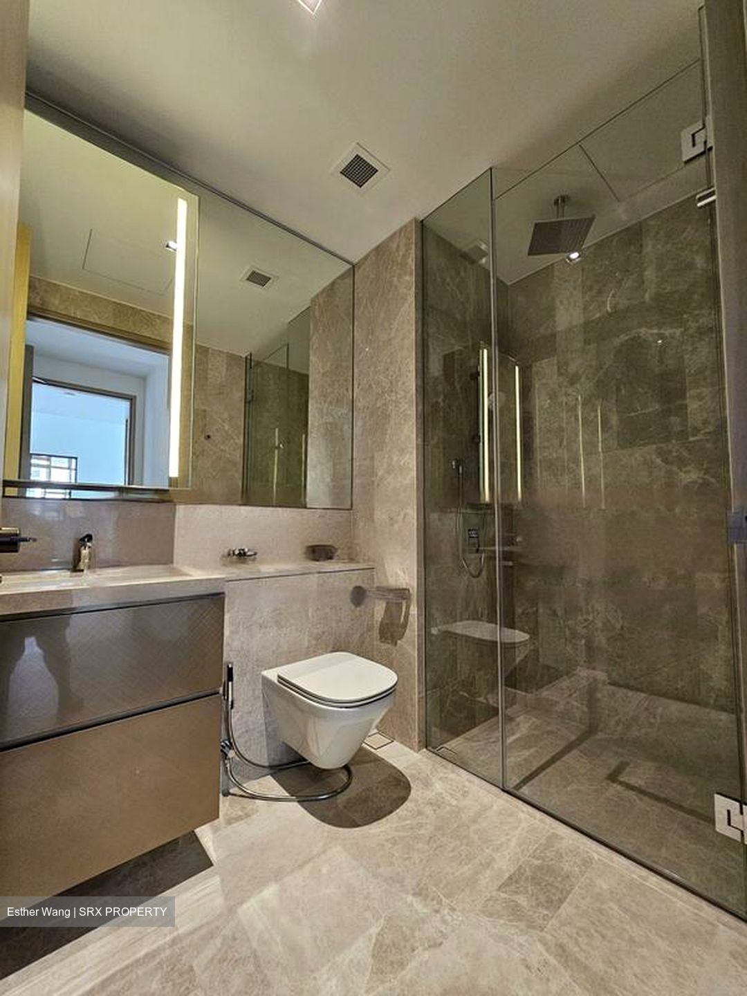 Klimt Cairnhill (D9), Apartment #451482401